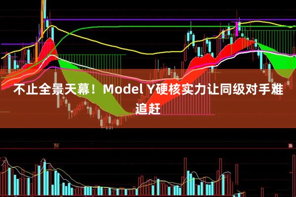 不止全景天幕！Model Y硬核实力让同级对手难追赶