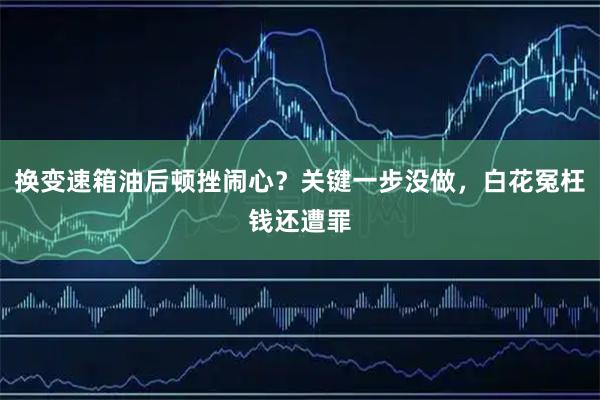 换变速箱油后顿挫闹心？关键一步没做，白花冤枉钱还遭罪